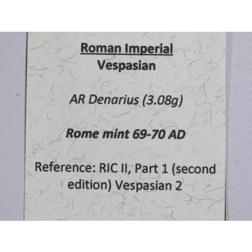 Ancient Roman Coin (4)