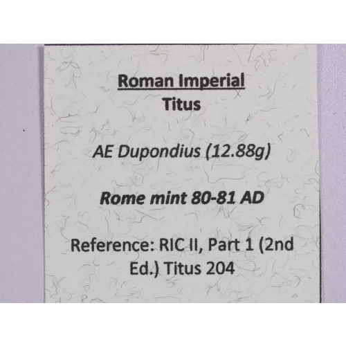 Ancient Roman Coin (4)