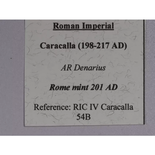 Ancient Roman Coin (5)