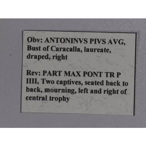 Ancient Roman Coin (4)