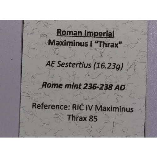 Ancient Roman Coin (4)