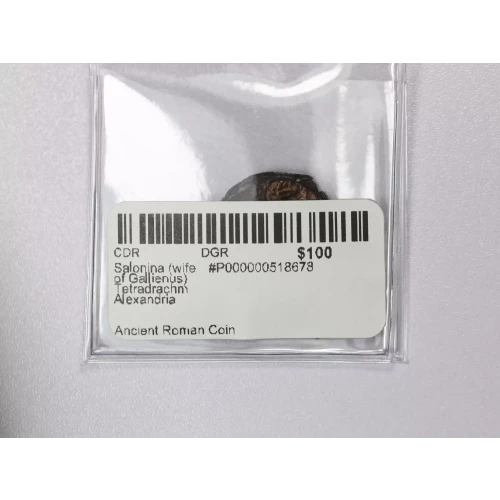 Ancient Roman Coin