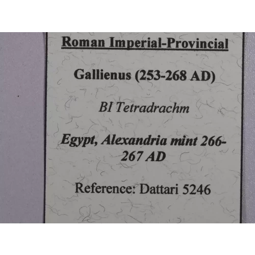 Ancient Roman Coin (4)