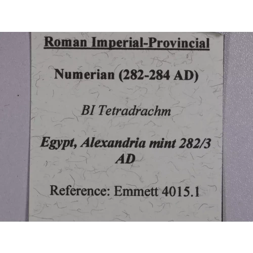 Ancient Roman Coin (4)