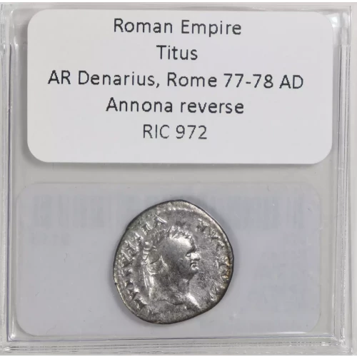 Ancient Roman Coin (3)