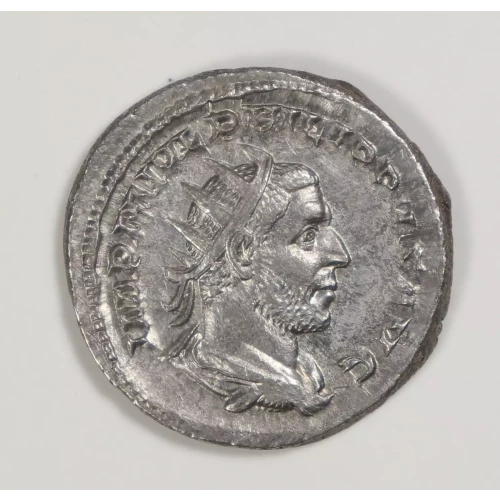 Ancient Roman Coin (2)