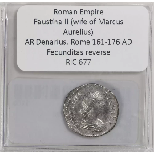 Ancient Roman Coin (3)
