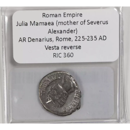 Ancient Roman Coin (3)