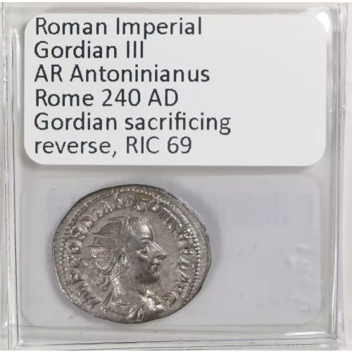 Ancient Roman Coin (4)