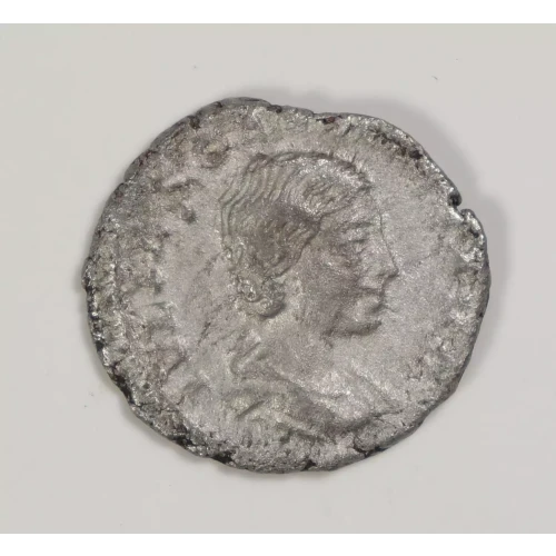 Ancient Roman Coin (2)
