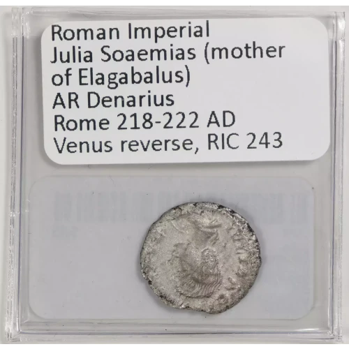 Ancient Roman Coin (4)