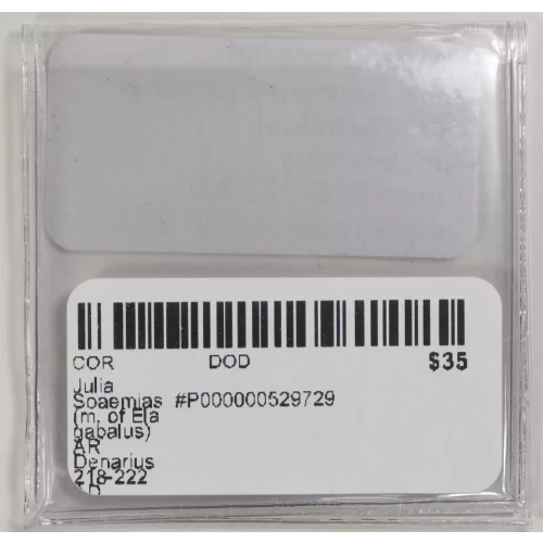 Ancient Roman Coin (3)