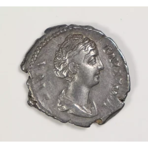 Ancient Roman Coin (2)