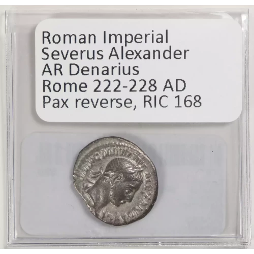 Ancient Roman Coin (3)
