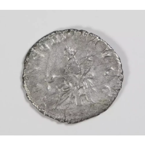 Ancient Roman Coin (2)