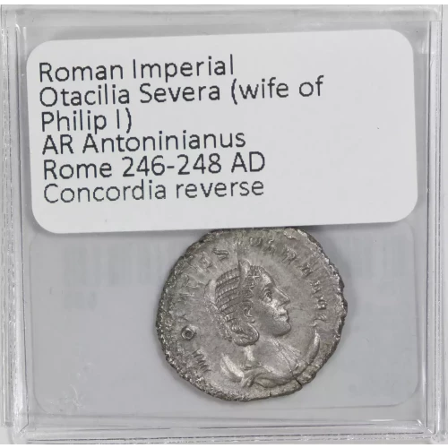 Ancient Roman Coin (4)