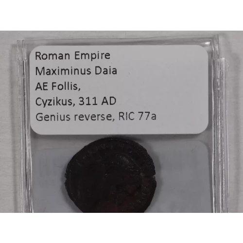 Ancient Roman Coin (4)