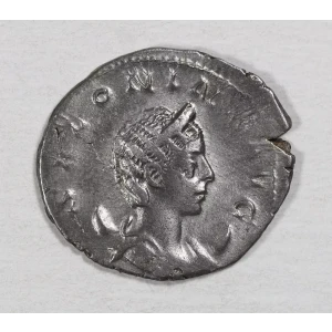 Ancient Roman Coin (2)