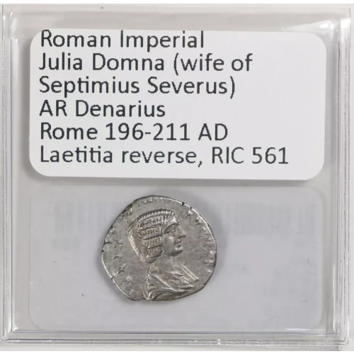 Ancient Roman Coin (4)