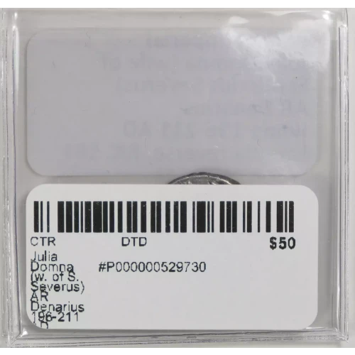 Ancient Roman Coin (3)