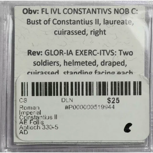 Ancient Roman Coin (3)