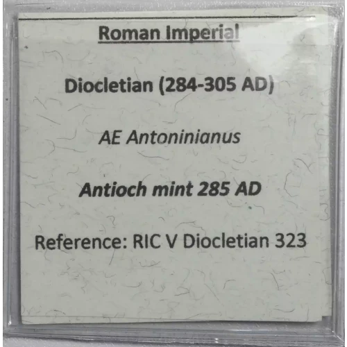 Ancient Roman Coin (3)