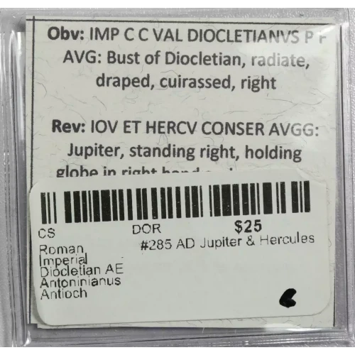 Ancient Roman Coin (4)