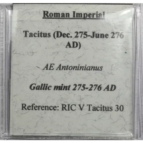 Ancient Roman Coin (4)