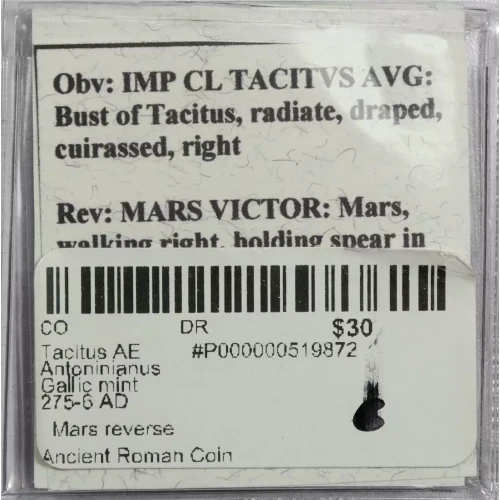 Ancient Roman Coin (3)