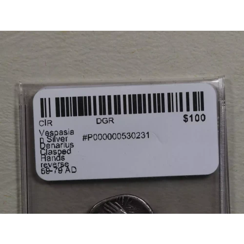 Ancient Roman Coin (3)