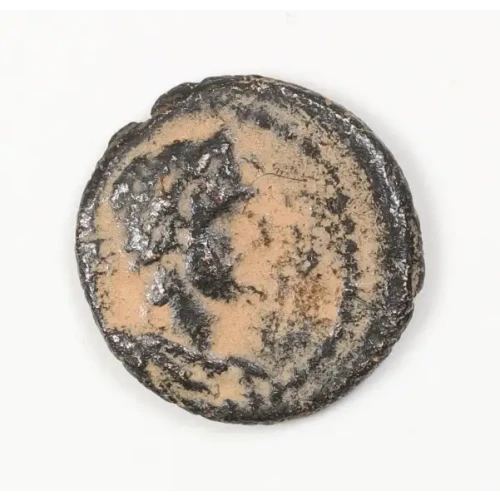 Ancient Roman Coin