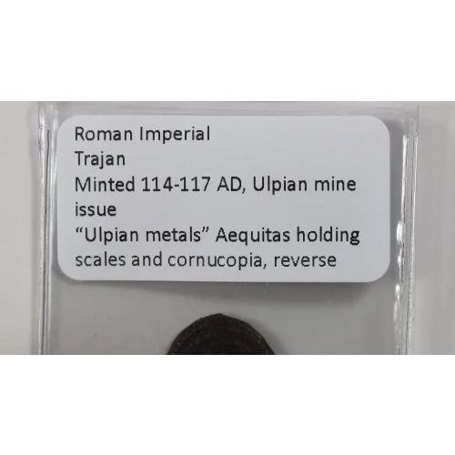 Ancient Roman Coin (3)