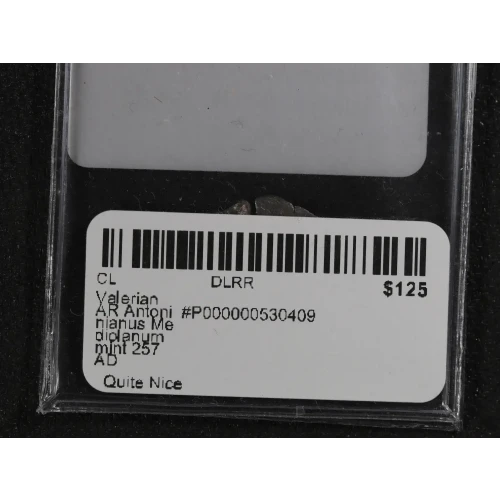 Ancient Roman Coin (4)