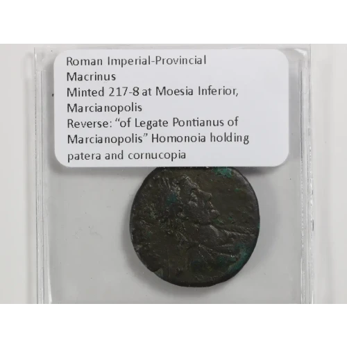 Ancient Roman Coin (3)
