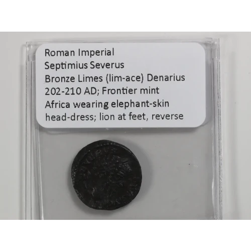 Ancient Roman Coin (3)