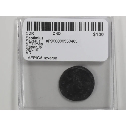 Ancient Roman Coin (4)
