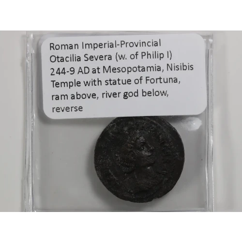 Ancient Roman Coin (3)