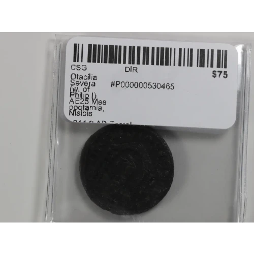 Ancient Roman Coin (4)