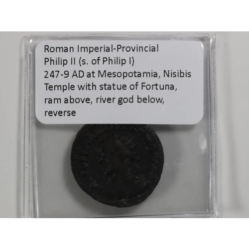 Ancient Roman Coin (4)