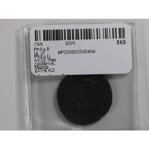 Ancient Roman Coin (3)