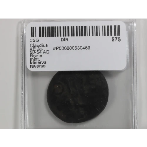 Ancient Roman Coin (3)