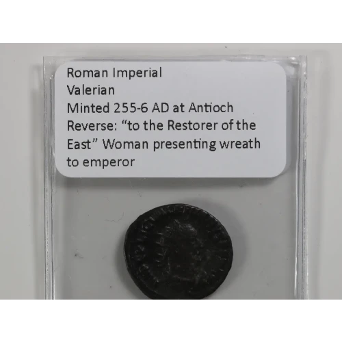 Ancient Roman Coin (3)