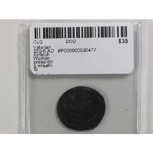 Ancient Roman Coin (4)