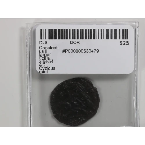 Ancient Roman Coin (4)