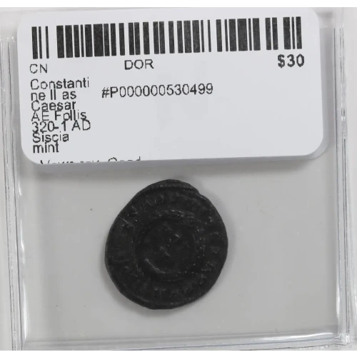 Ancient Roman Coin (4)