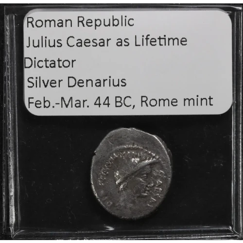 Ancient Roman Coin (4)