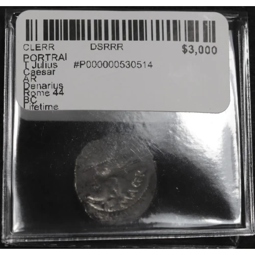 Ancient Roman Coin (3)