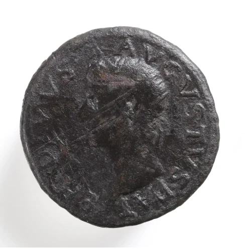 Ancient Roman Coin (2)