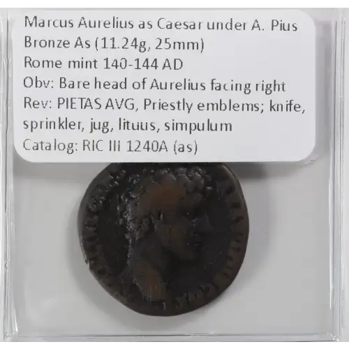 Ancient Roman Coin (3)