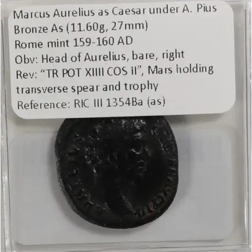 Ancient Roman Coin (4)